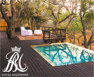 Private Pool at Royal Malewane Safari Lodge